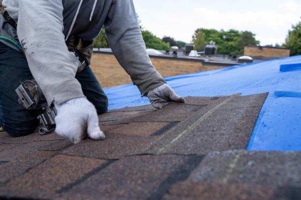 Best Roof Leak Repair  in Farmers Loop, AK