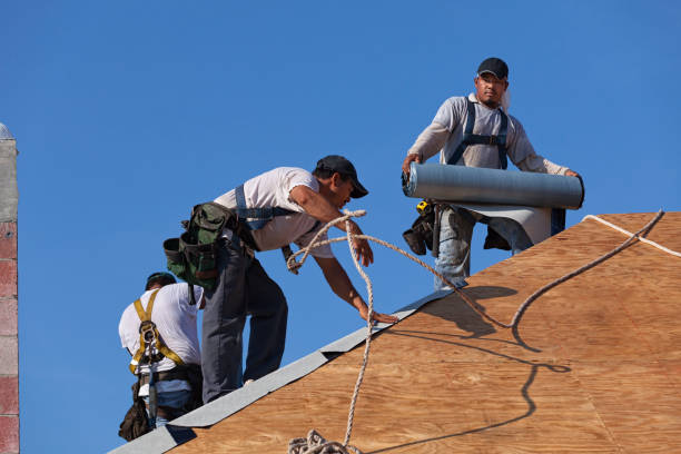 Best Metal Roofing Contractor  in Farmers Loop, AK